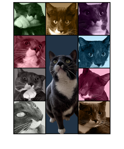 3145339424.png