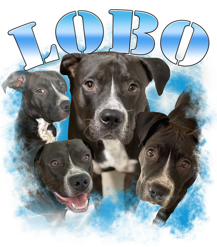 Custom dog Lobo.png