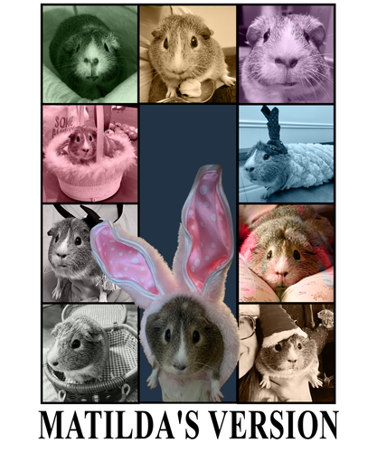 3136943617 2 copy.png