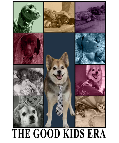 3145081442 copy.png