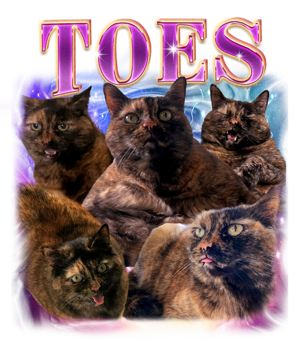 3131027763 2.png
