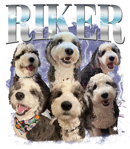 Lauren Ceckowski.png