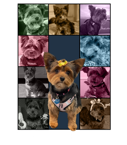 lucy.png