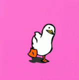 Duck.gif