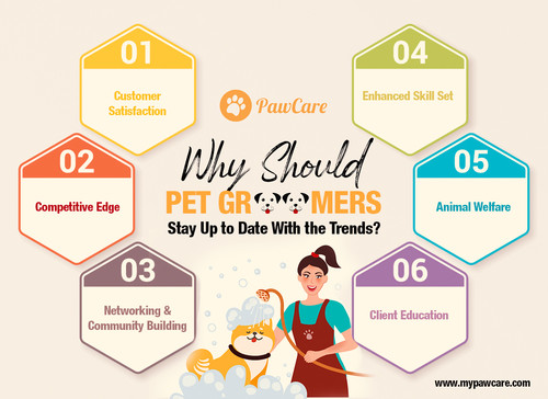 Why Should Pet Groomers Stay Up to Date With the Trends.jpg