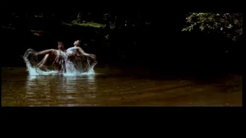 f 13.webp