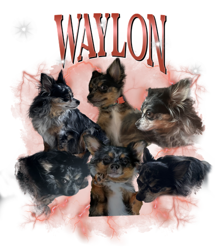 waylon.png