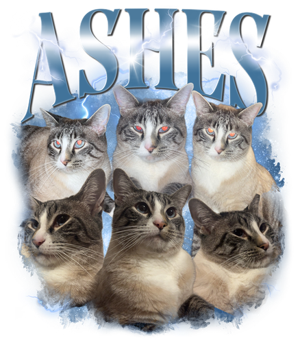 Ashes 3138148080.png