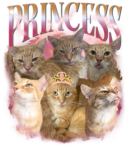 Princess 3129735835.png