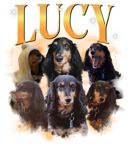 Lucy 3138131556.png