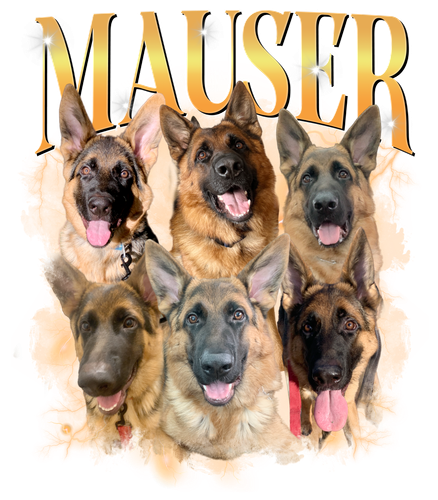 3132686094 Mauser 3.png