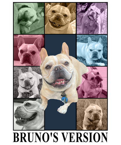 bruno's version.png