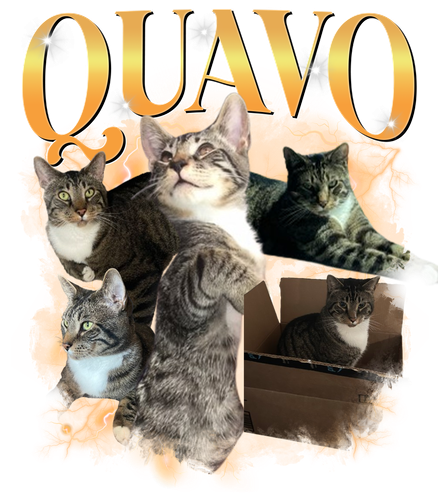 Quavo.png