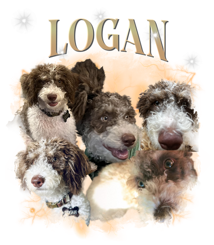 logan.png