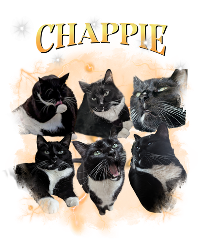 chappie.png