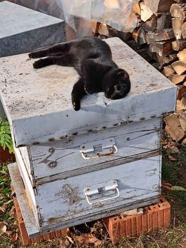 20231212 124240[1].jpg