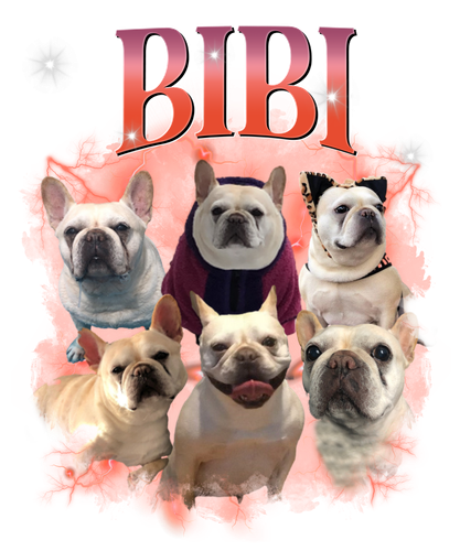 bibi.png