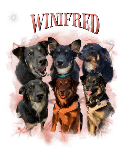 winifred.png