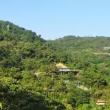 00006 仰望青龍嶺、三角埔頂山