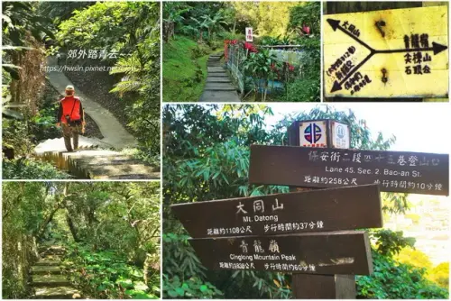 00007 前往青龍嶺的登山步道.webp