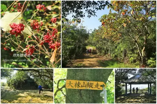 00024 多福步道是大棟山縱走路線之一.webp