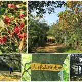 00024 多福步道是大棟山縱走路線之一