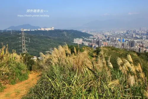 00021 三角埔頂山步道白芒遍野.webp