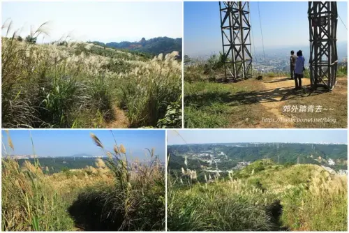 00019 三角埔頂山欣賞芒花