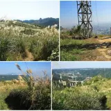 00019 三角埔頂山欣賞芒花