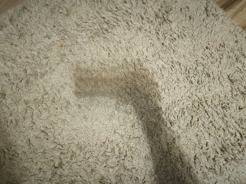 IMG 20230815 145103.jpg
