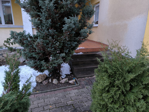 IMG 20230815 144501.jpg
