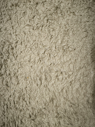 IMG 20230815 145018.jpg