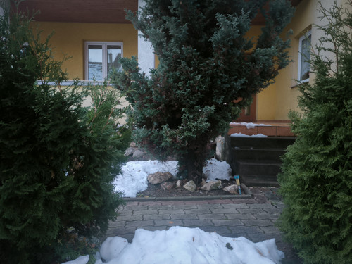 IMG 20230815 144638.jpg