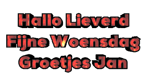 oie overlay (5).gif
