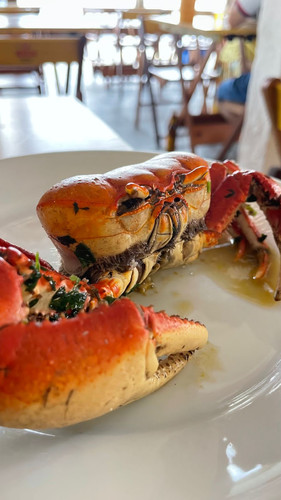 WhatsApp Image 2023 12 12 at 12.01.47 (1).jpg