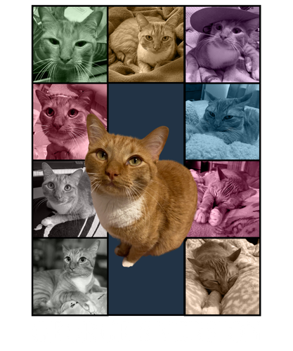 George's Version black.png