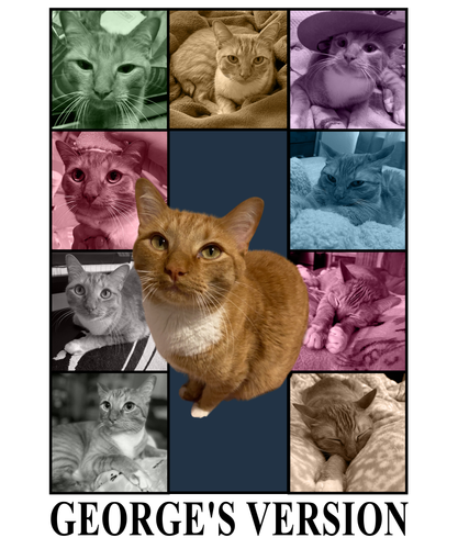 George's Version light pink.png