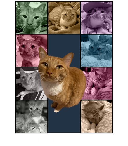 George's Version black (4200x4800).png