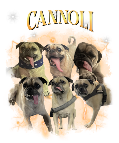 cannoli.png