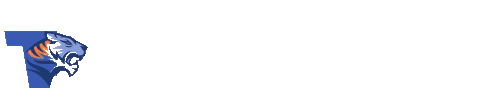 Logo Tigerslot4D.gif
