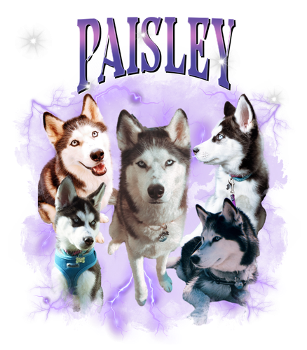 paisley.png