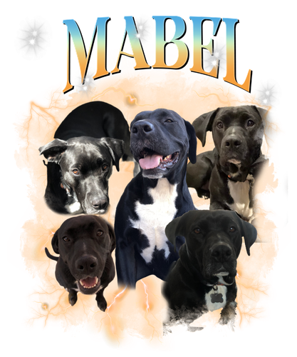 mabel.png