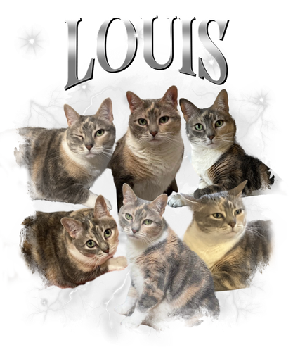 louis.png