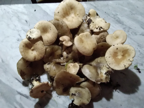 IMG 20231212 161405.jpg