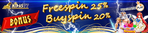 buyspin 25% (1).png
