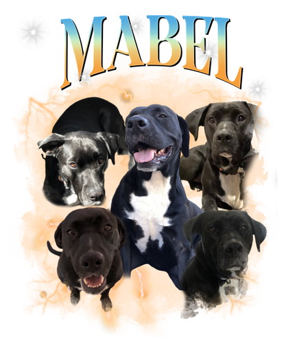 mabel.png