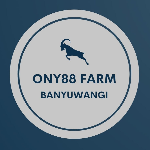 3639d548302b.png