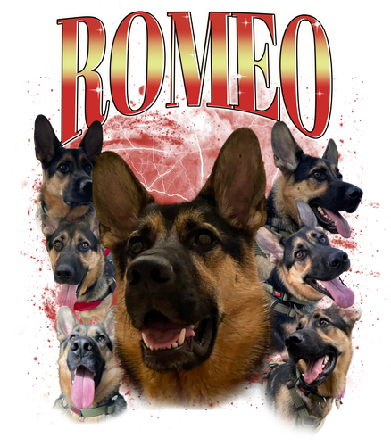 Romeo.png