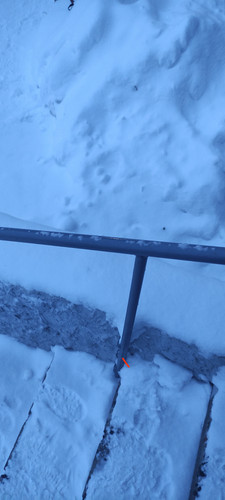 IMG 20231214 161834.jpg