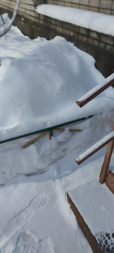 IMG 20231214 161951.jpg